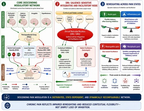 Neurology International | An Open Access Journal from MDPI