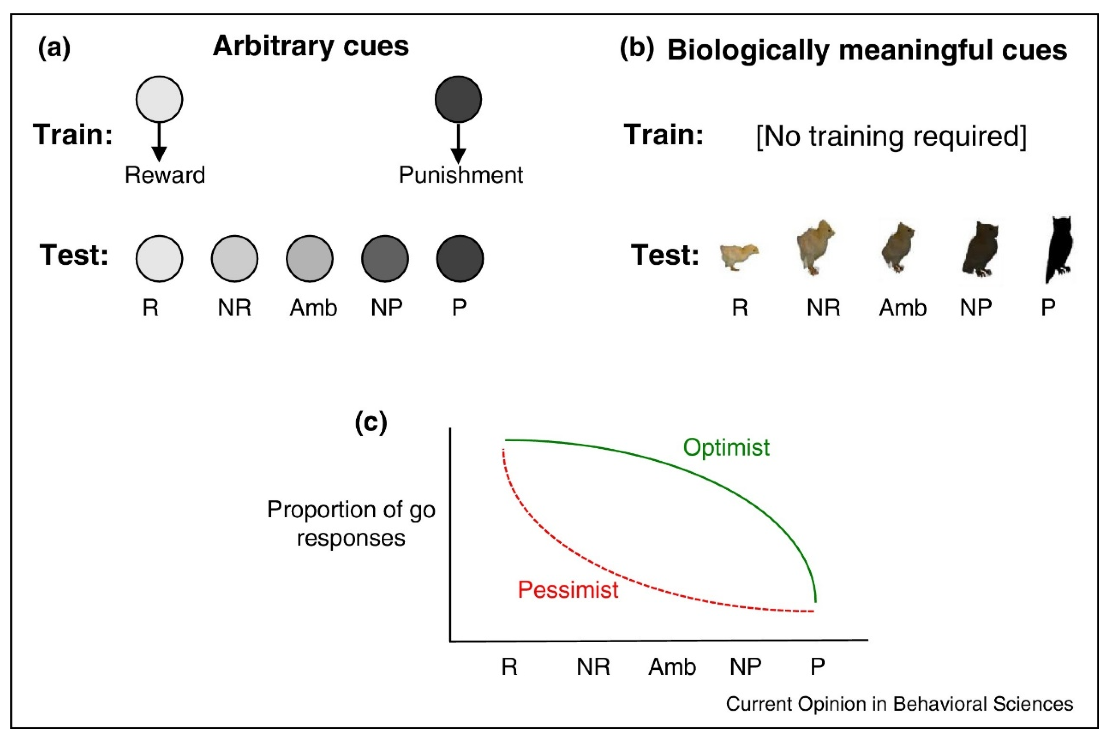 Did Fermentation Drive Human Brain Evolution? - Neuroscience News