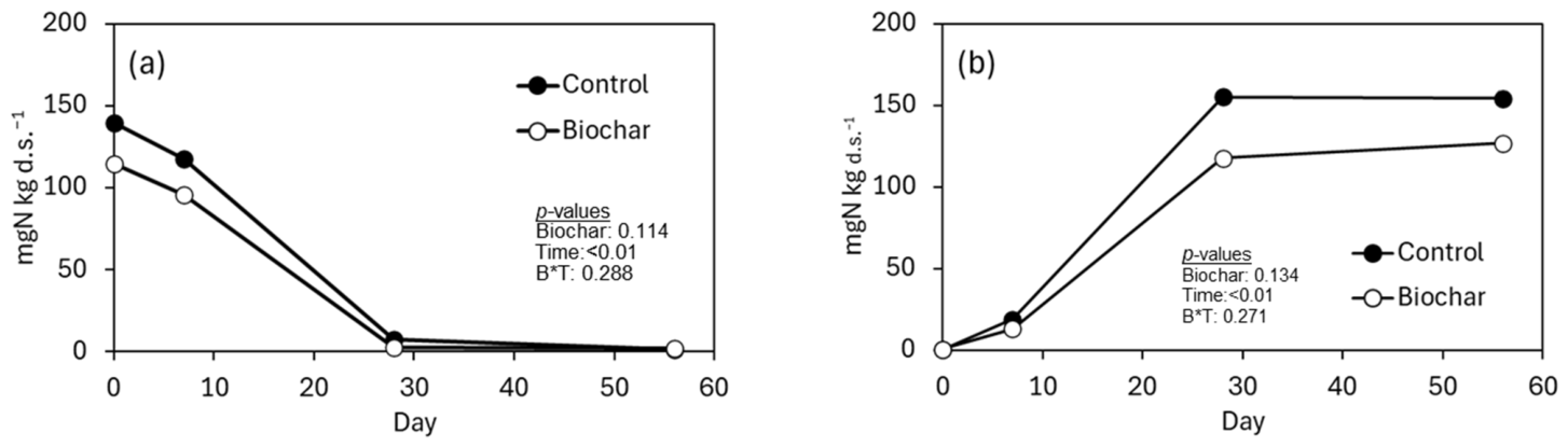 Effects of Rice-Husk Biochar on Nitrogen Retention, Nitrification, and ...