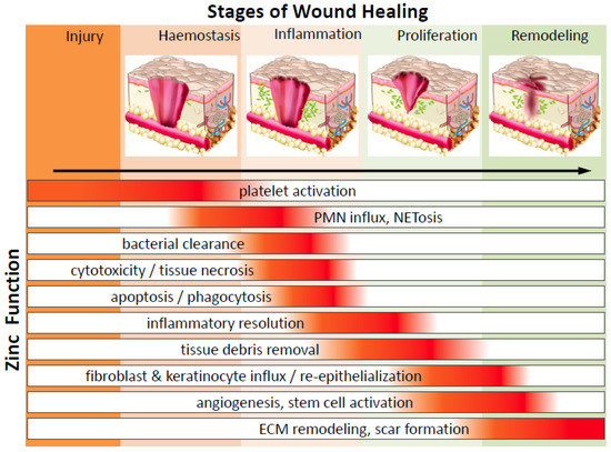 Wound care and dressing | PDF