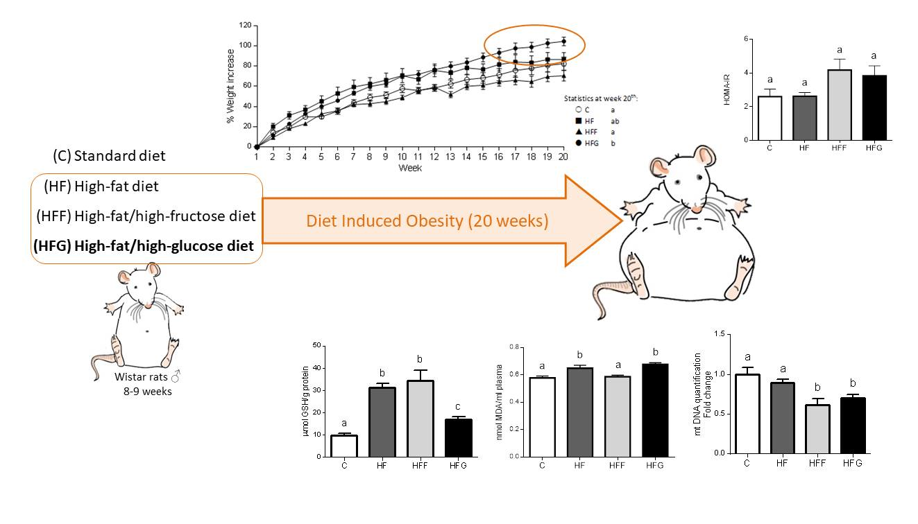 Nutrients | Free Full-Text | High Fat/High Glucose Diet Induces Metabolic  Syndrome in an Experimental Rat Model