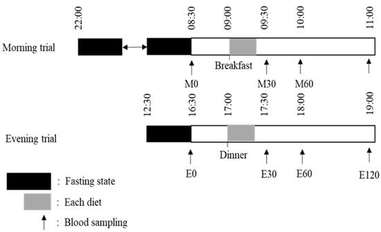 Effects of Meal Timing on Postprandial Glucose Metabolism and Blood ...