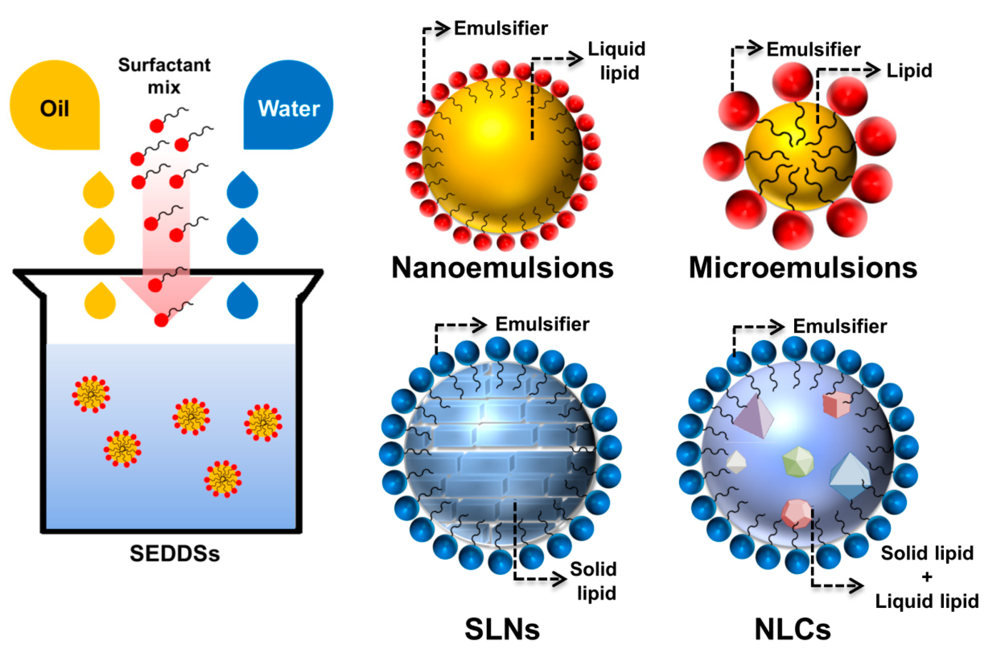 Nutrients | Free Full-Text | Use of Lipid Nanocarriers to Improve Oral  Delivery of Vitamins