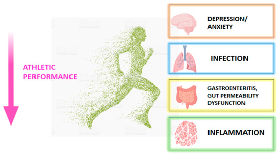 Gut health for athletic performance