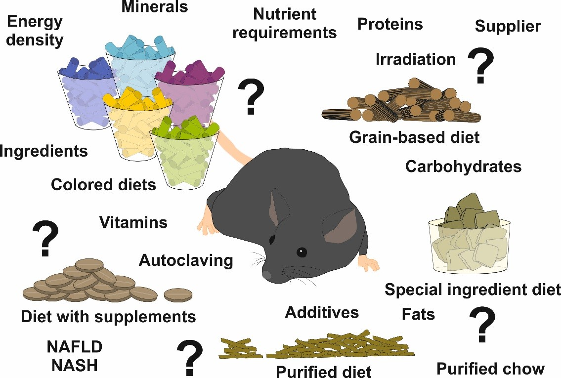 Nutrients | Free Full-Text | All You Can Feed: Some Comments on Production  of Mouse Diets Used in Biomedical Research with Special Emphasis on  Non-Alcoholic Fatty Liver Disease Research