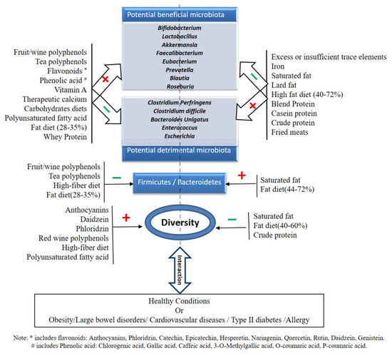 Nutrients | Free Full-Text | Role of Dietary Nutrients in the ...