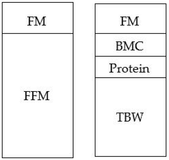 Sample characteristics of the bioelectrical impedance analysis
