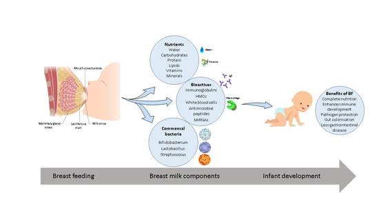 550px x 309px - Nutrients | Free Full-Text | Breast Milk, a Source of Beneficial Microbes  and Associated Benefits for Infant Health
