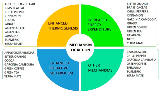 https://pub.mdpi-res.com/nutrients/nutrients-12-01161/article_deploy/html/images/nutrients-12-01161-g001-550.jpg?1588913325