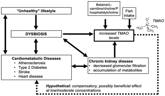 Nutrients | Free Full-Text | Trimethylamine N-Oxide in Relation to