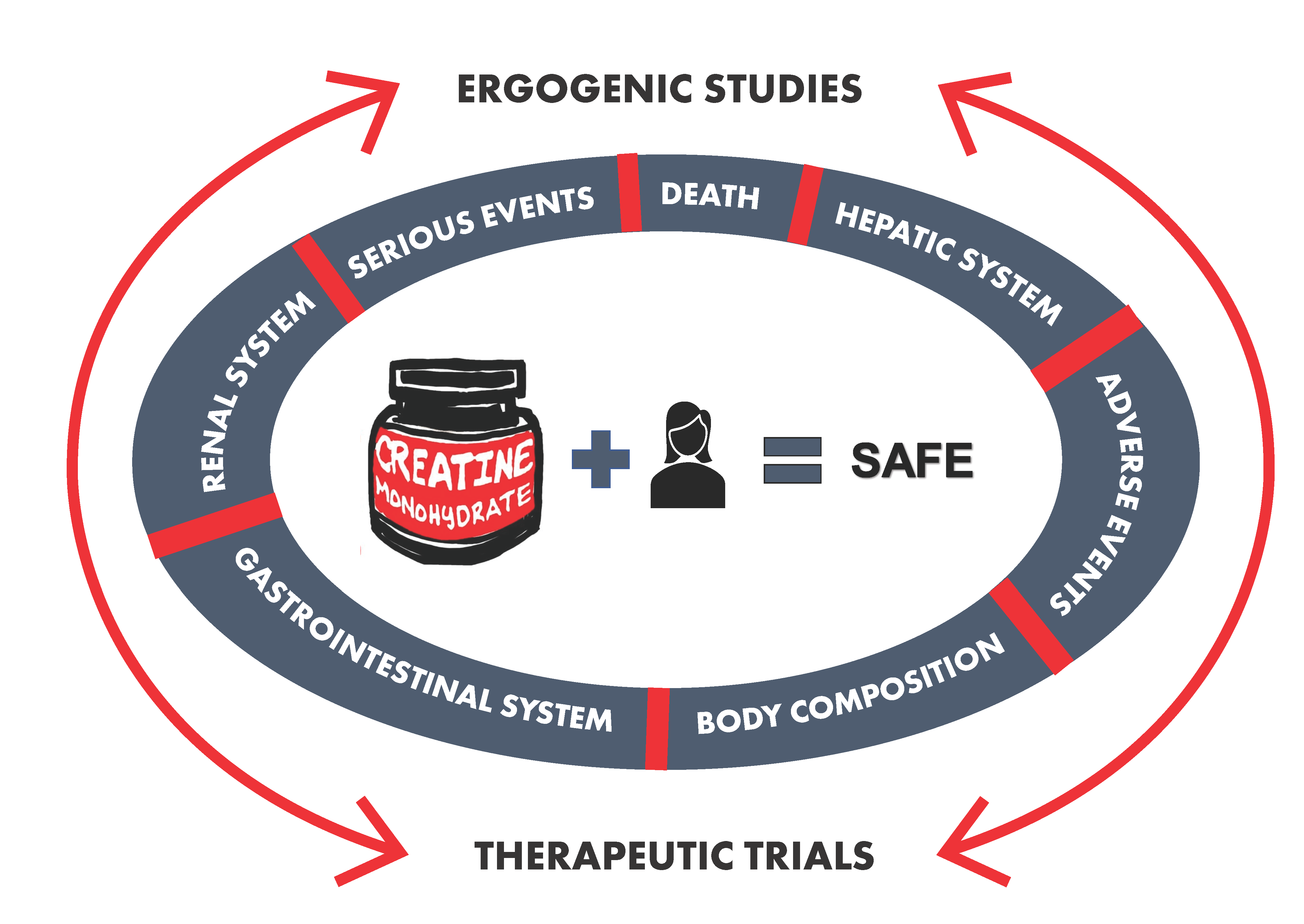 Can combining creatine and multivitamins be harmful?