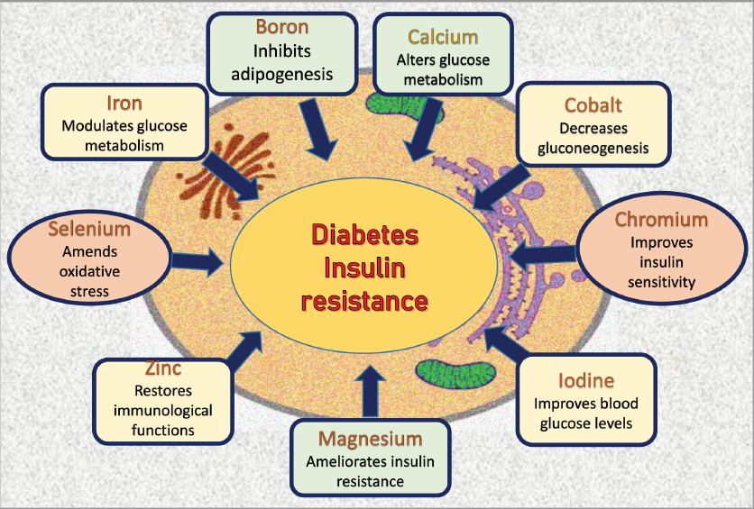 Nutrients | Free Full-Text | Role of Minerals and Trace Elements in  Diabetes and Insulin Resistance