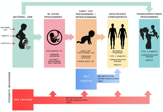 Image result for Ease Gestational Diabetes Safely infographics