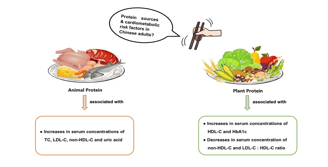 Nutrients | Free Full-Text | Associations between Dietary Animal and Plant  Protein Intake and Cardiometabolic Risk Factors—A Cross-Sectional Study in  China Health and Nutrition Survey