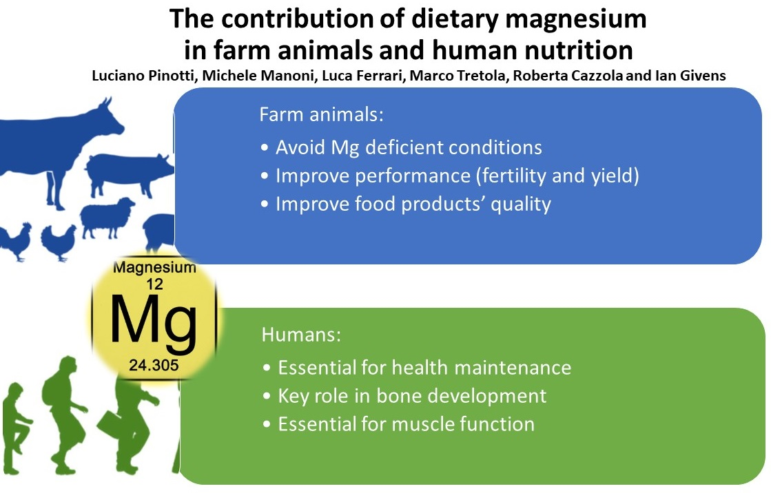 Nutrients | Free Full-Text | The Contribution of Dietary Magnesium in Farm  Animals and Human Nutrition