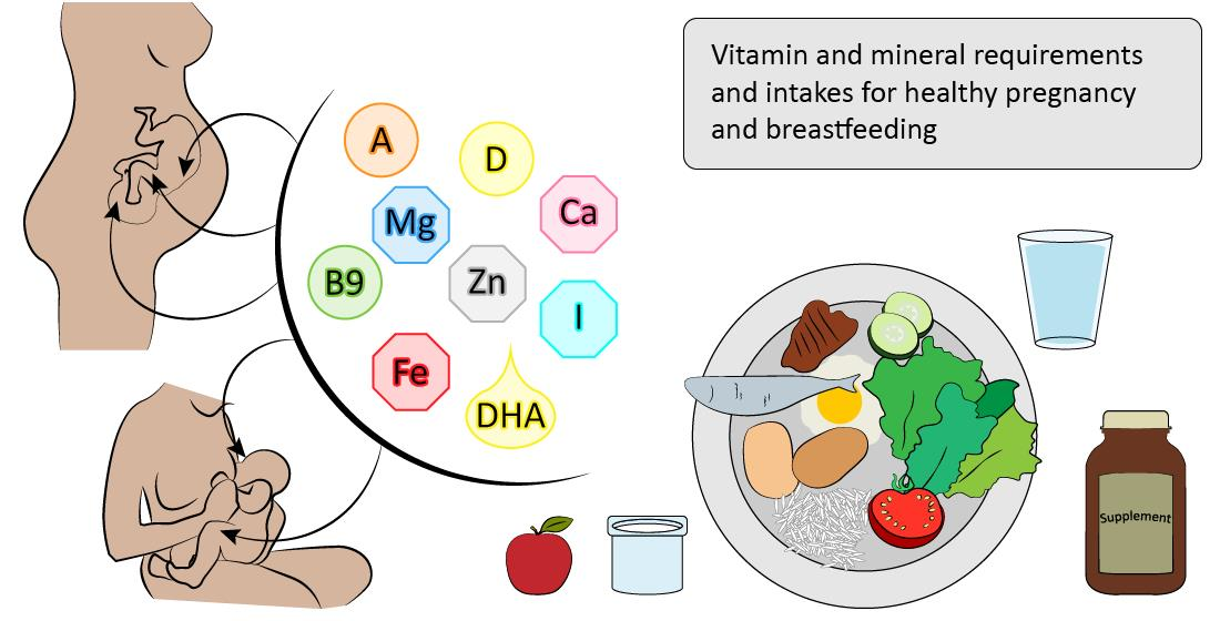 Nutrients, Free Full-Text, Pregnancy Needs 