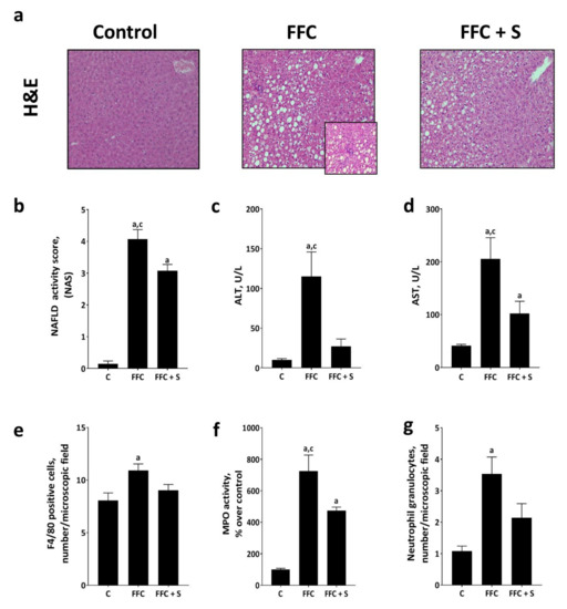 Nutrients Free FullText Fortifying Butterfat with Soybean Oil