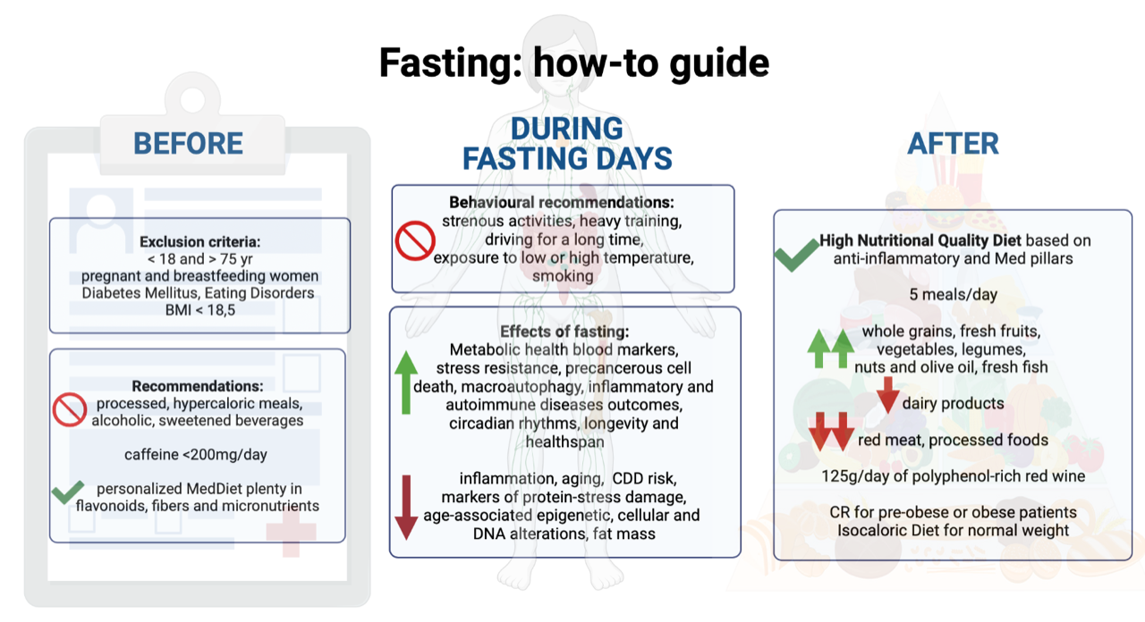 pro ana fasting before and after