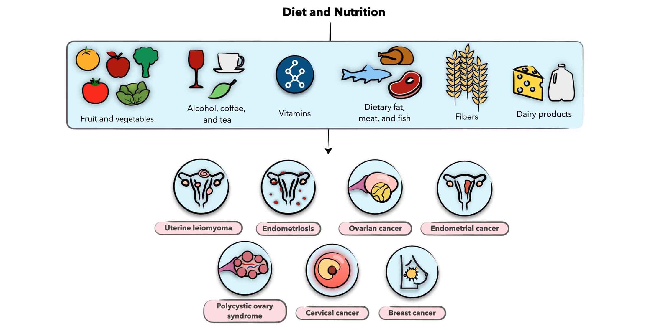 Nutrients Free Full-Text Diet and Nutrition in Gynecological Disorders A Focus on Clinical Studies image