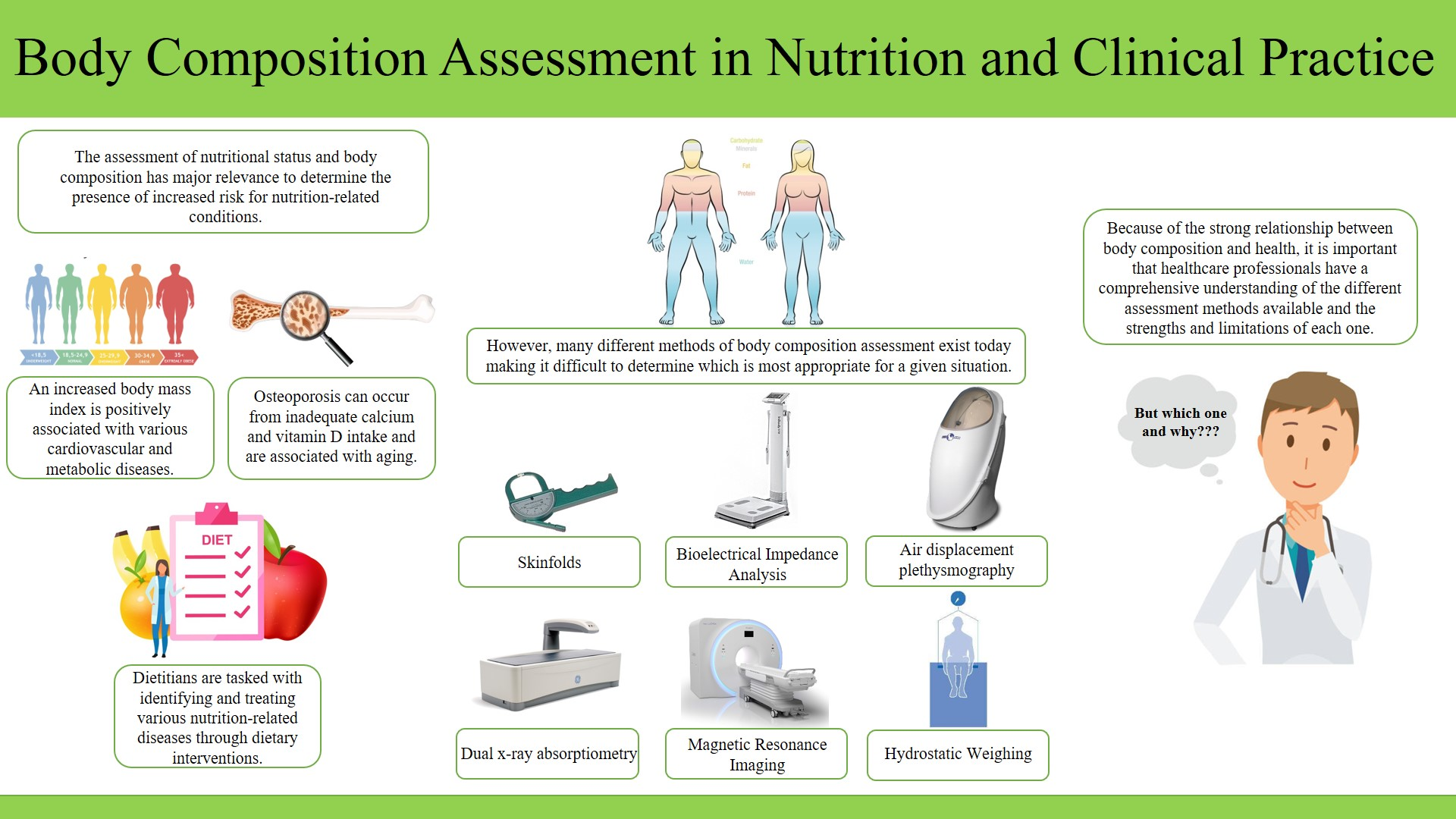 Body composition assessment
