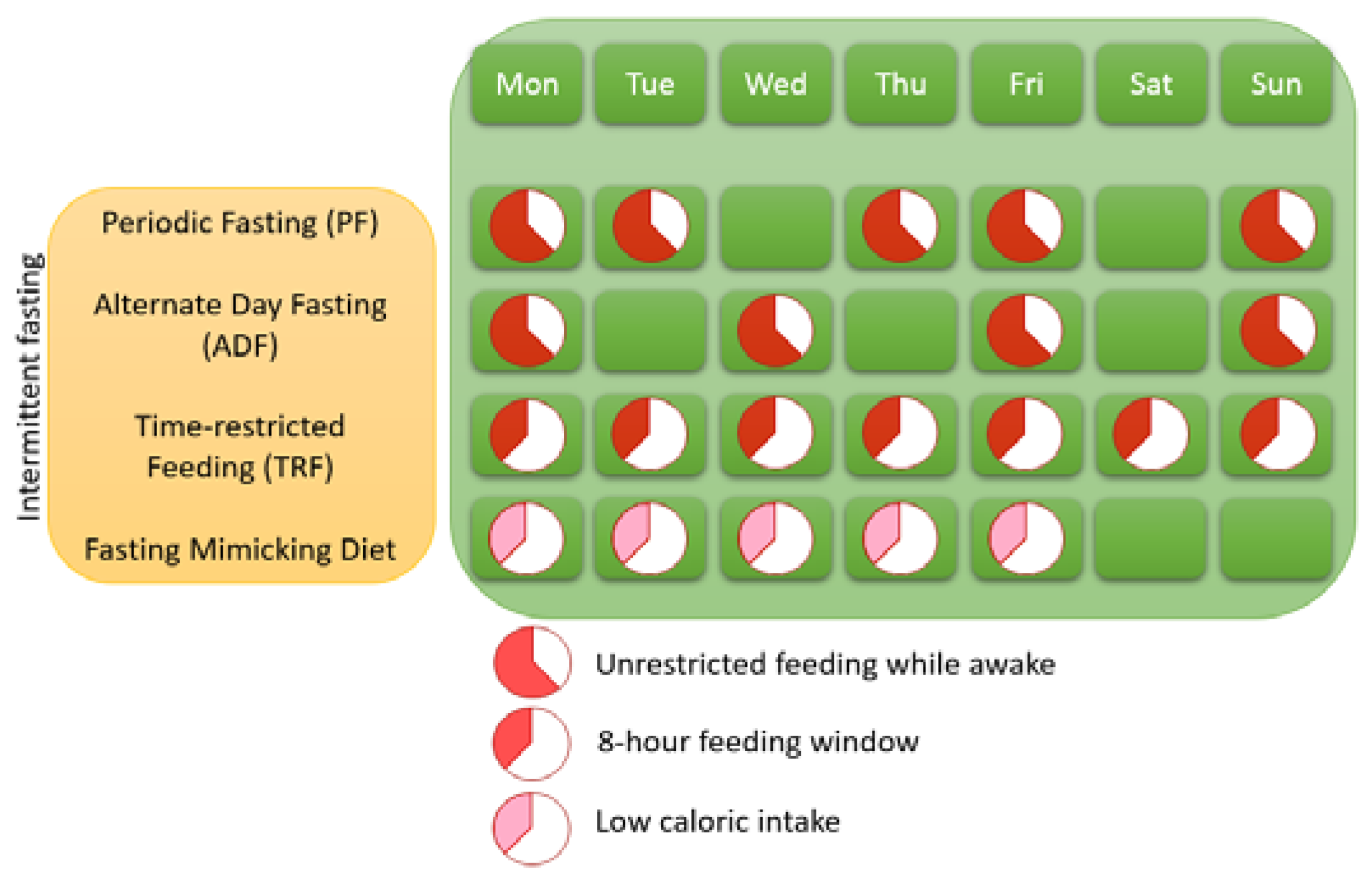 Alternate-day fasting and nutrient absorption