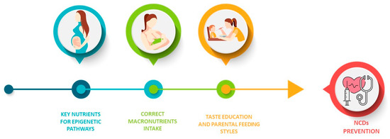 The Essentials of Complementary Feeding Practices for Babies – Else  Nutrition