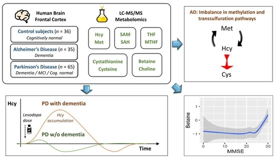 Metabolite Toxicity as a Driver of Aging and Disease — THE HUGHES LAB