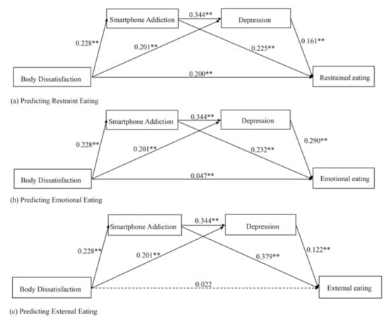 Body Dissatisfaction and Disordered Eating Behaviors: The Mediation ...