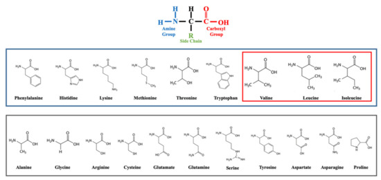 Nutrients | Free Full-Text | Amino Acid-Related Metabolic Signature in ...