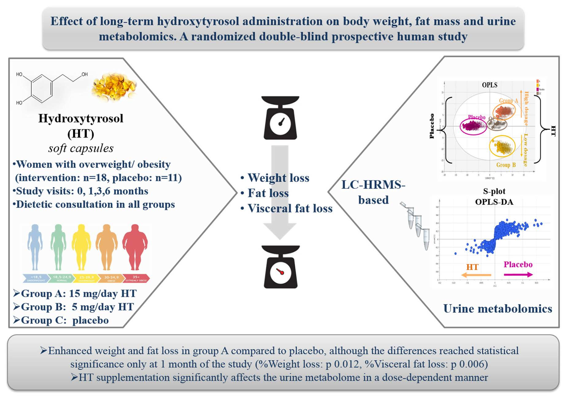 Effect of Long-Term Hydroxytyrosol Administration on Body Weight ... Effect of Long-Term Hydroxytyrosol Administration on Body Weight ...