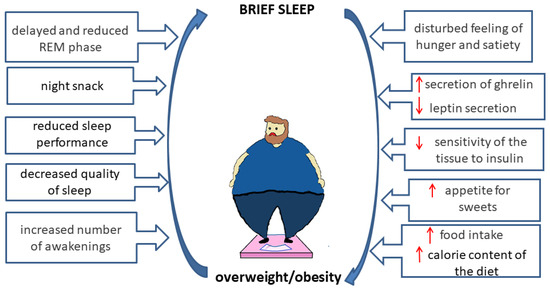 Metabolic rate and sleep quality