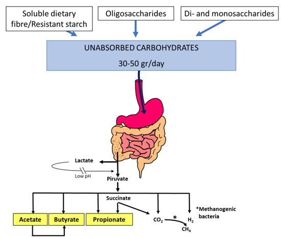 Fructose malabsorption: causes, diagnosis and treatment, British Journal  of Nutrition