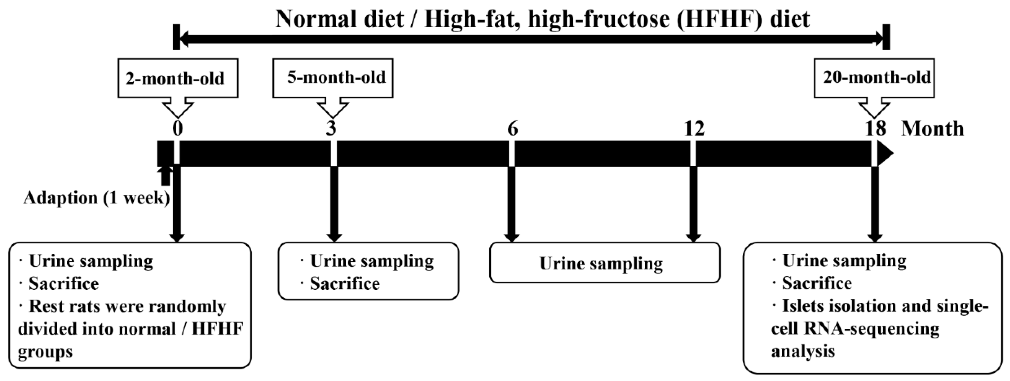 nutrients-free-full-text-long-term-high-fat-high-fructose-diet