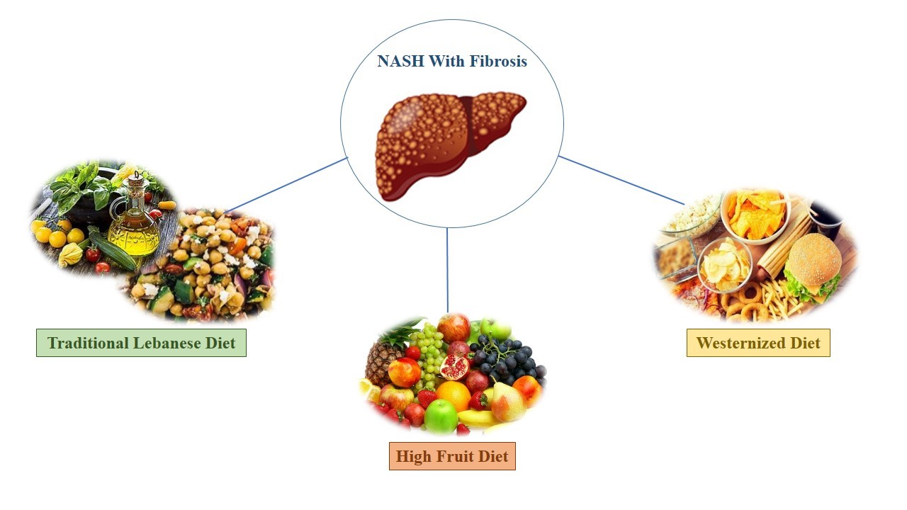 Nutrients Free Full-Text Relation of Dietary Patterns and Nutritional Profile to Hepatic Fibrosis in a Sample of Lebanese Non-Alcoholic Fatty Liver Disease Patients