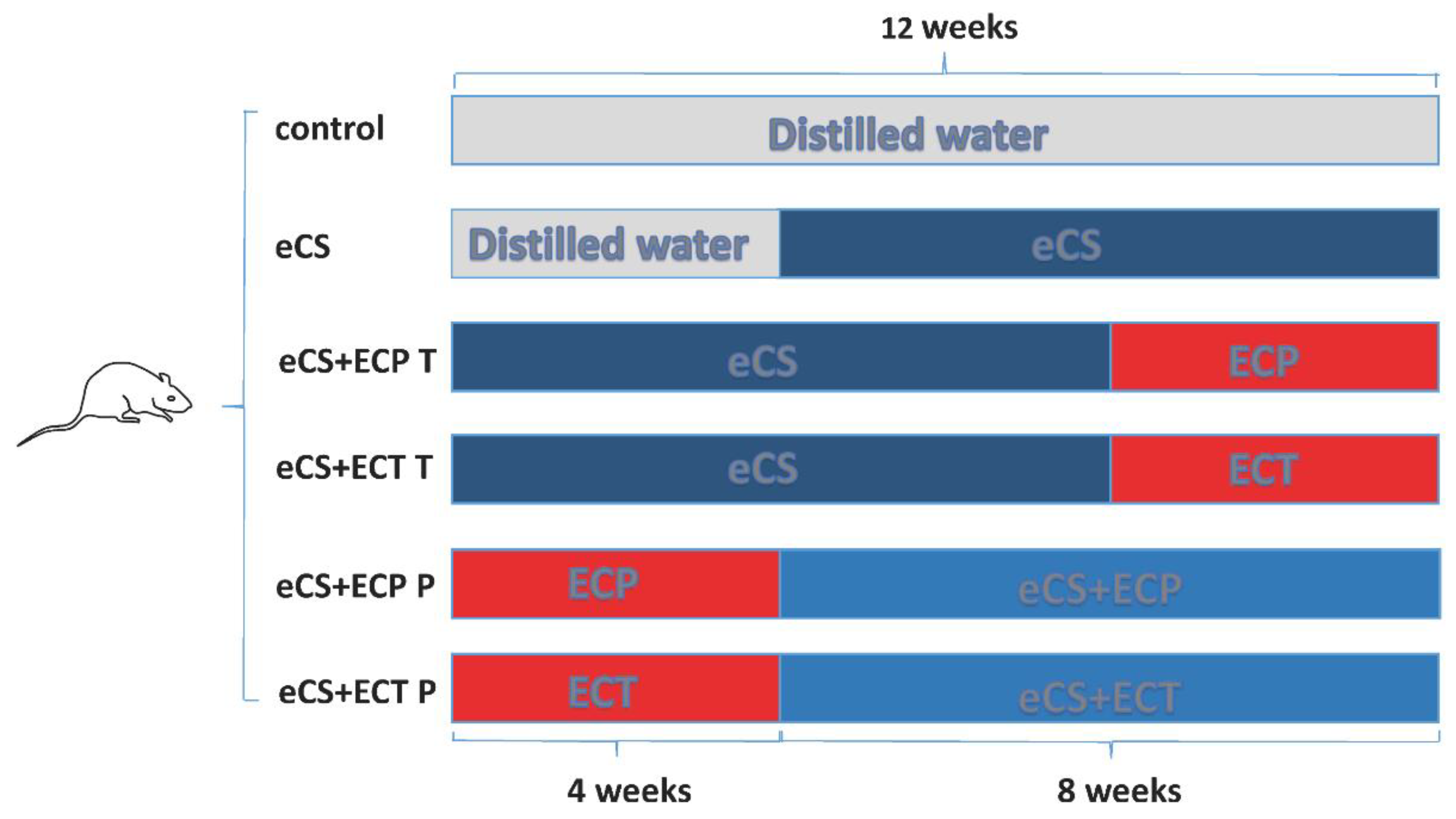 https://pub.mdpi-res.com/nutrients/nutrients-14-02843/article_deploy/html/images/nutrients-14-02843-g001.png?1657535229