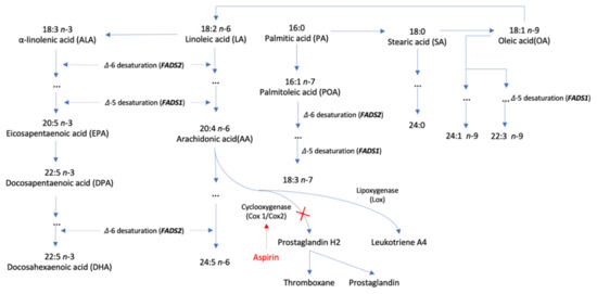 Plasma Phospholipid Fatty Acids and Risk of Venous Thromboembolism ...