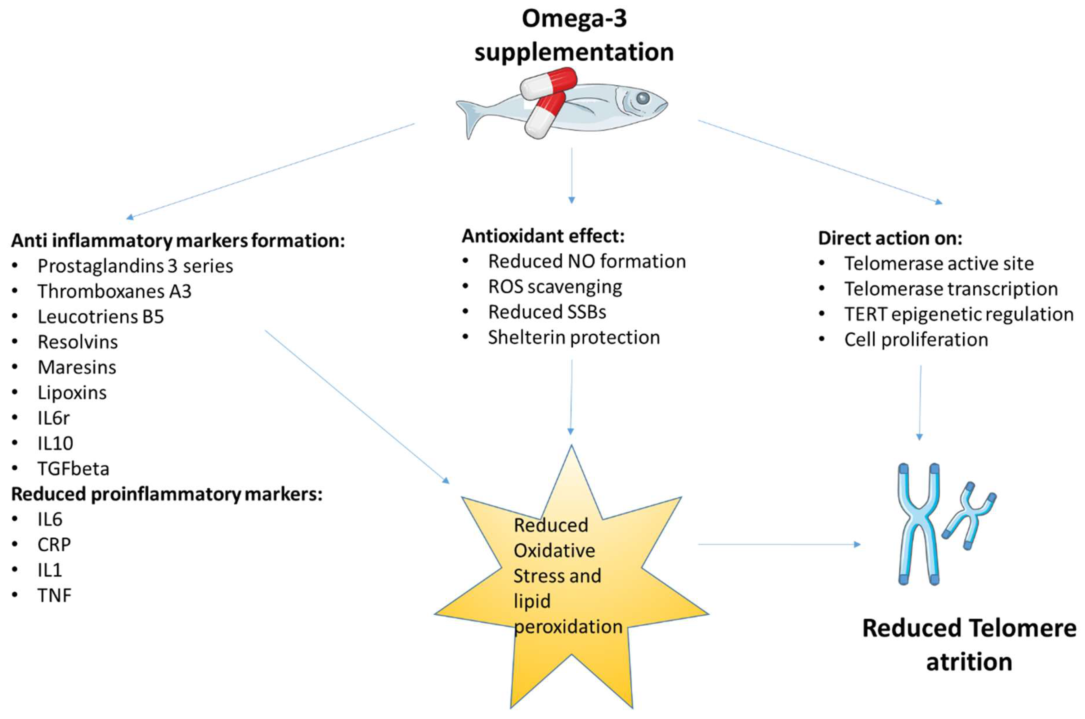 Nutrients Free Full-Text Effect of Omega-3 Fatty Acids on Telomeresandmdash;Are They the Elixir of Youth?