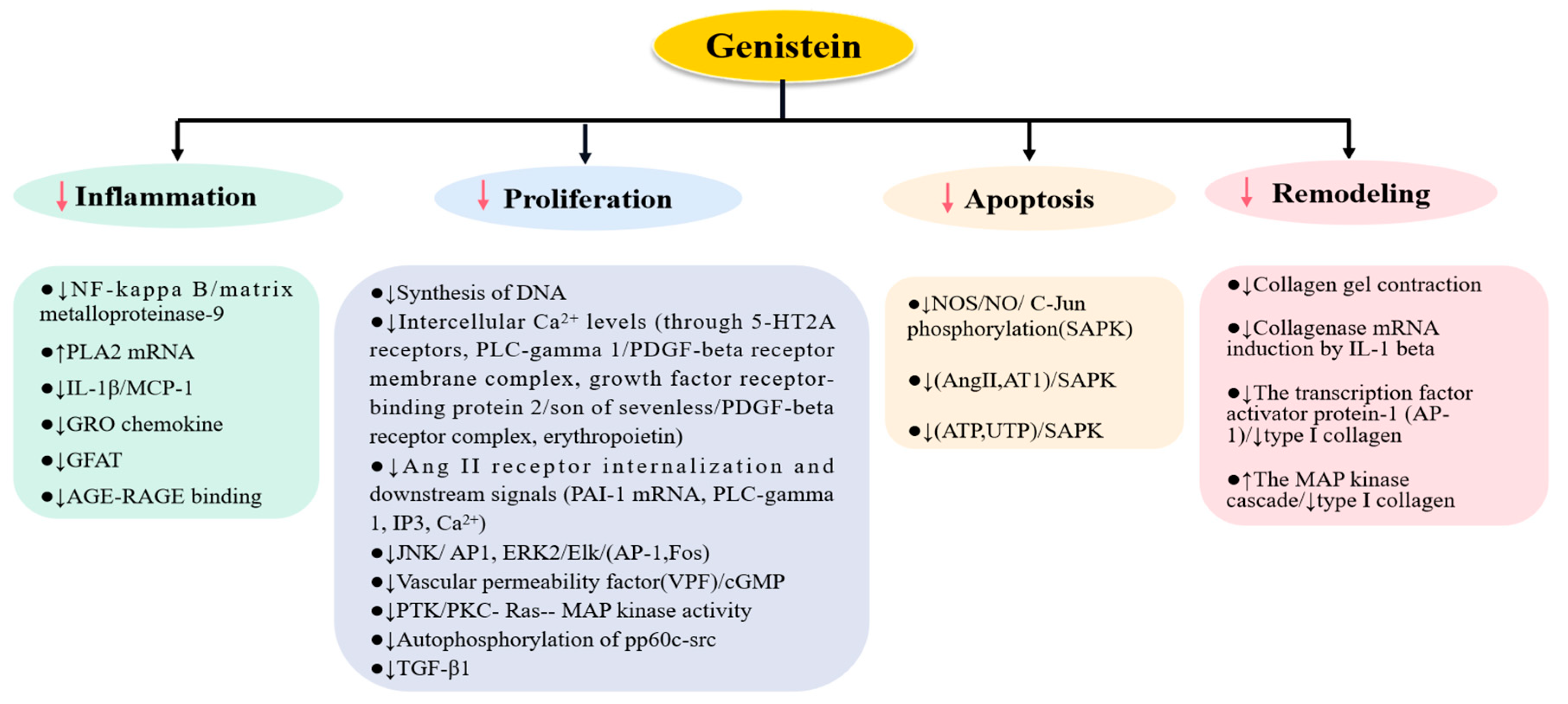 Nutrients | Free Full-Text | Effects of Genistein on Common Kidney 