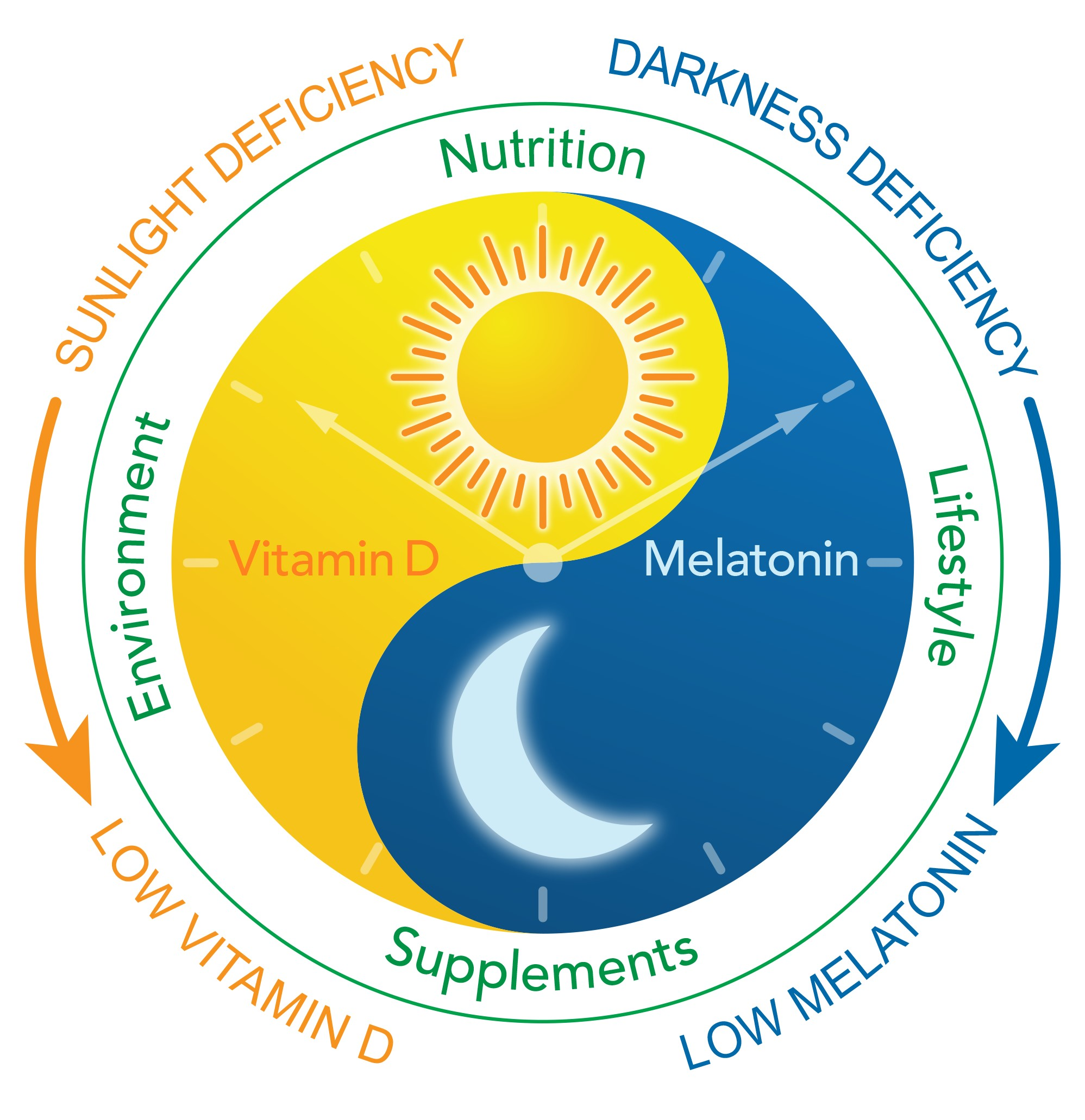 Nutrients Free Full-Text Is Melatonin the andldquo;Next Vitamin Dandrdquo;? A Review of Emerging Science, Clinical Uses, Safety, and Dietary Supplements