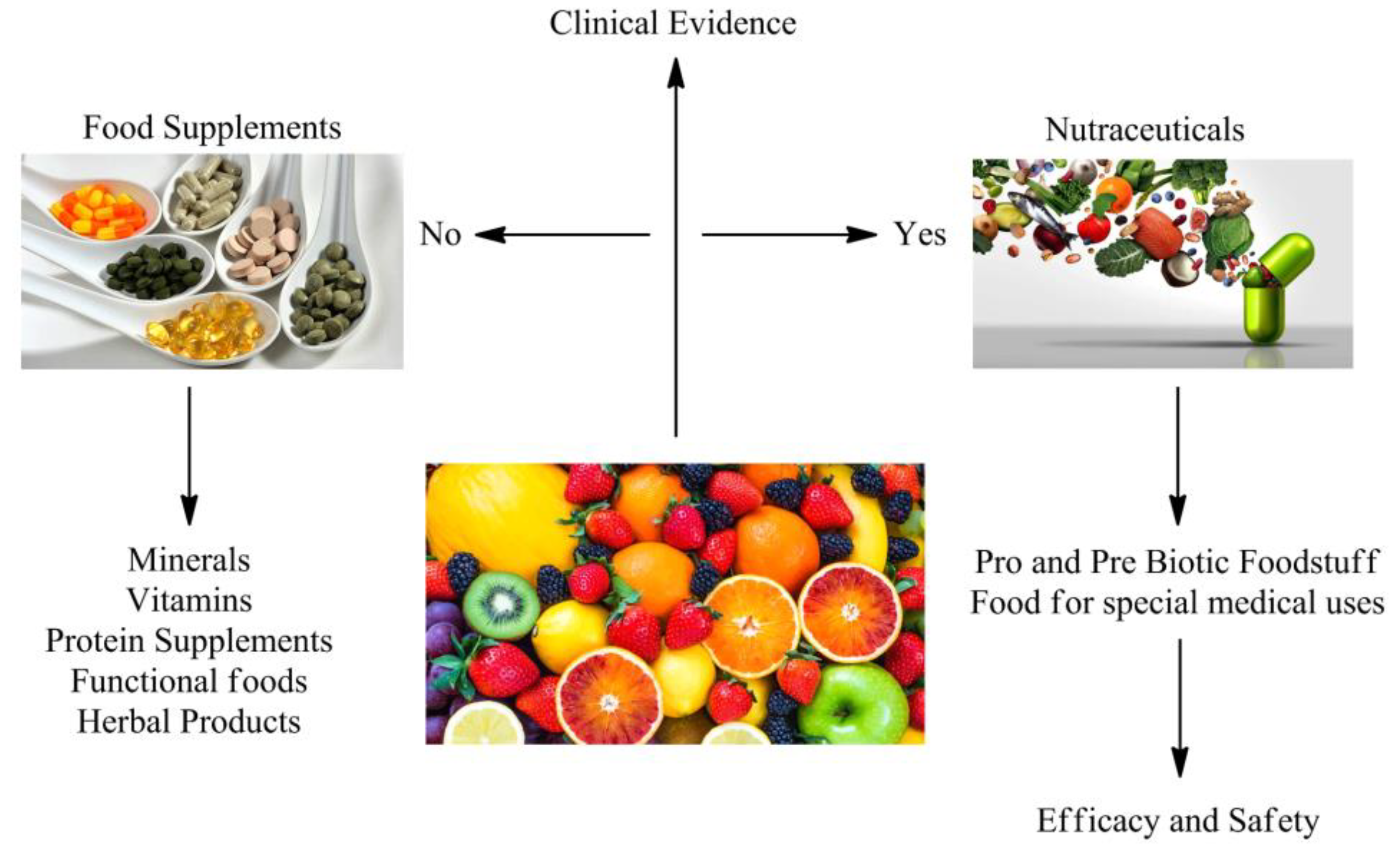 research project on nutraceuticals