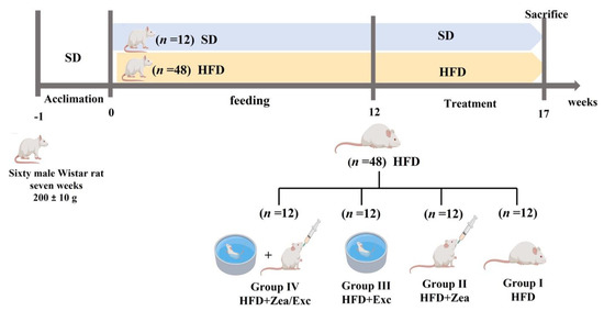 Obese Lab Rats Nutrients | Free Full-Text | Evaluation of the Anti-Obesity Effect of ...