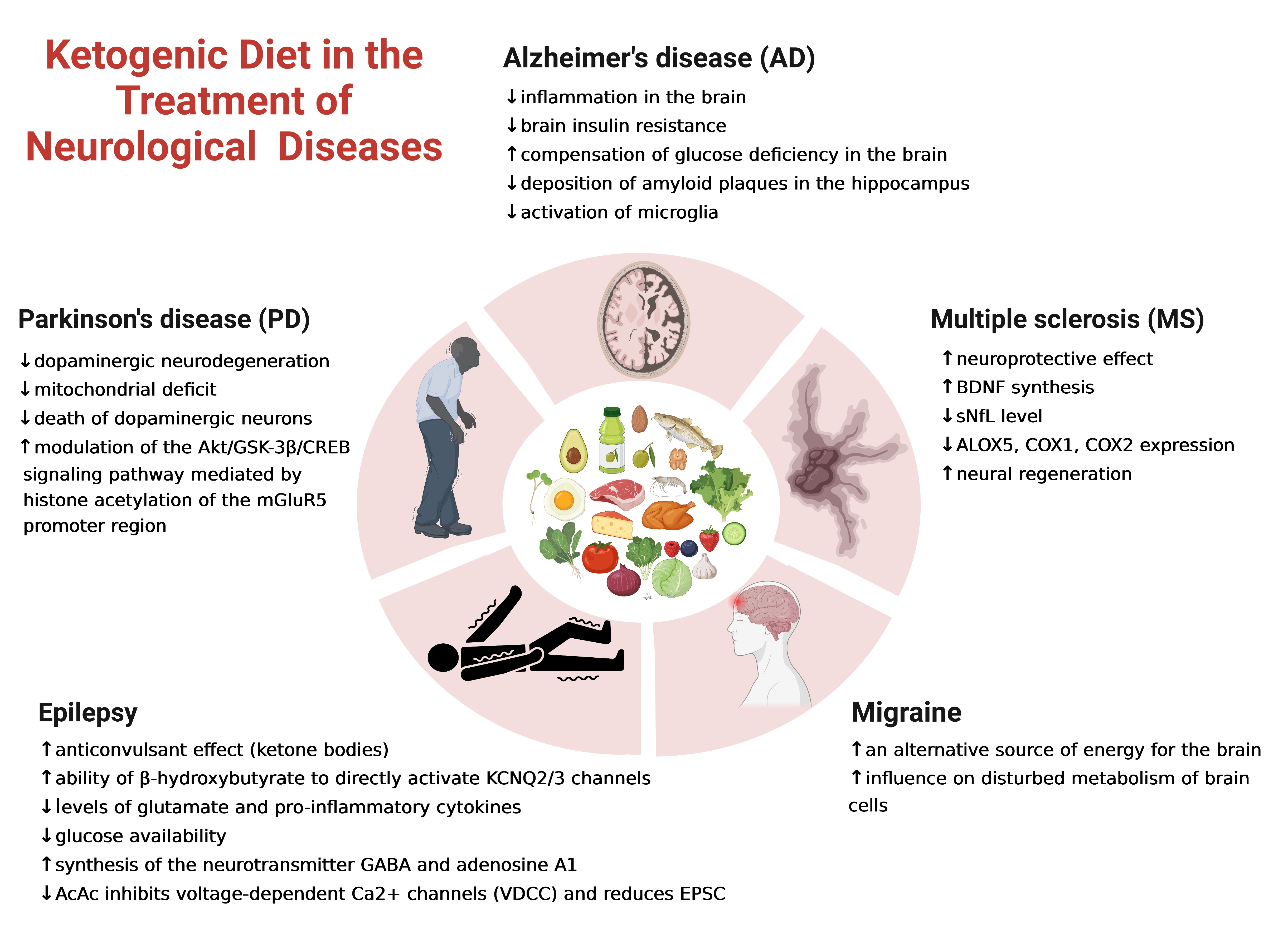 Nutrients Free Full-Text The Role of Ketogenic Diet in the Treatment of Neurological Diseases