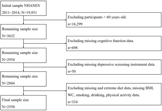 Cognitive Impairment Mediates the Association between