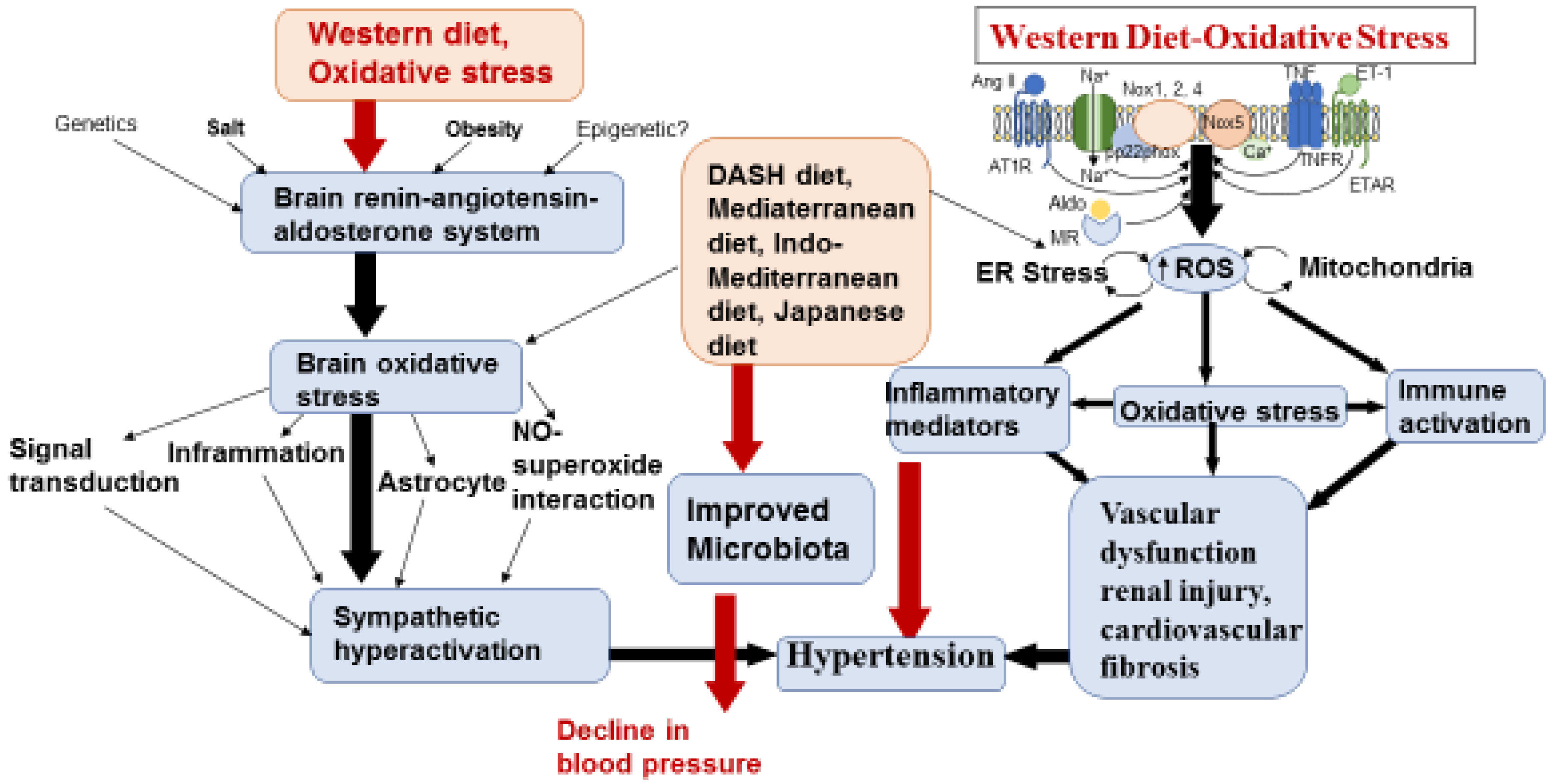 nutrients-free-full-text-dietary-approaches-to-stop-hypertension