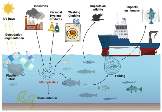 Nutrients | Free Full-Text | Microplastics: A Real Global Threat for ...