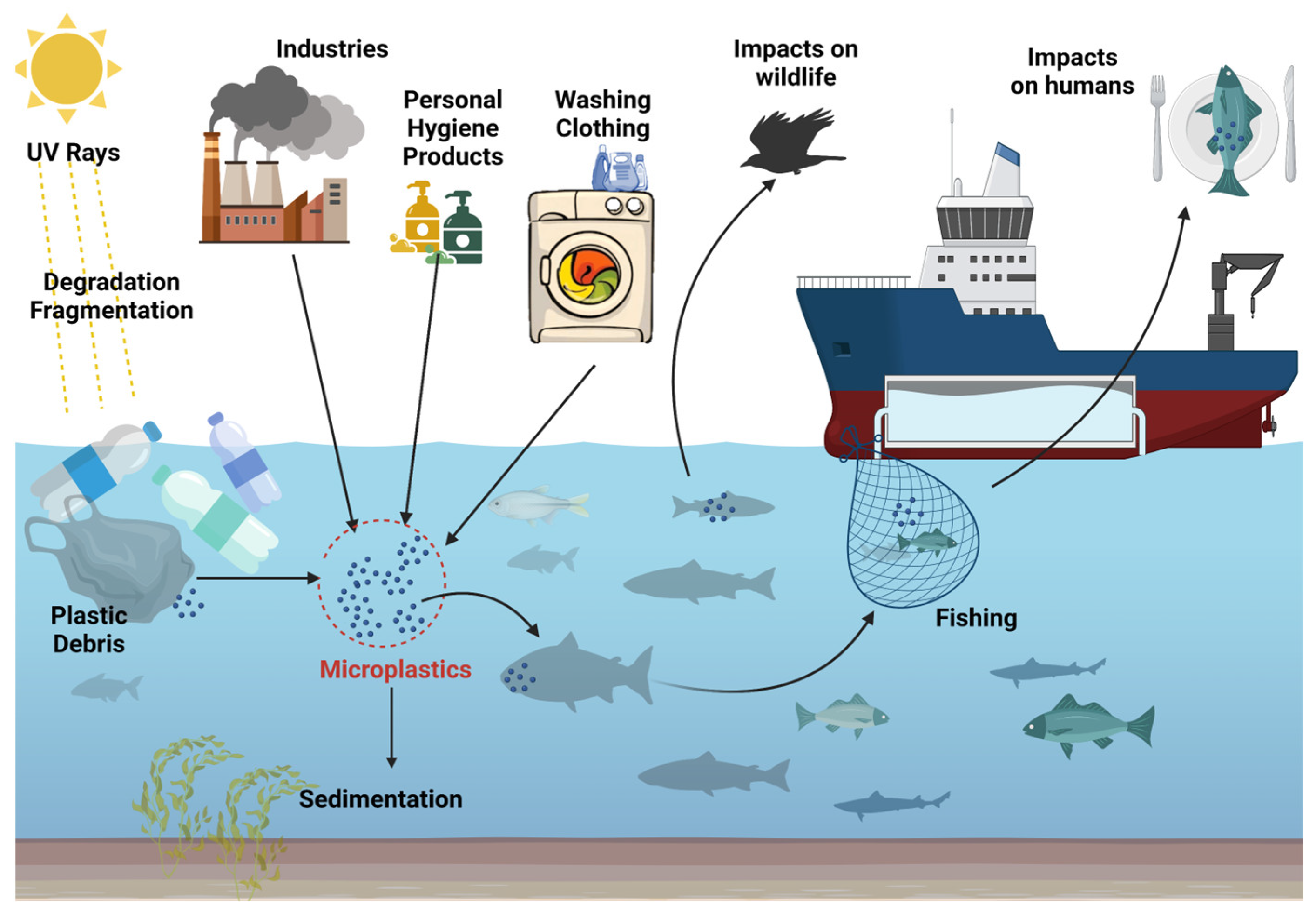 Nutrients | Free Full-Text | Microplastics: A Real Global Threat for ...