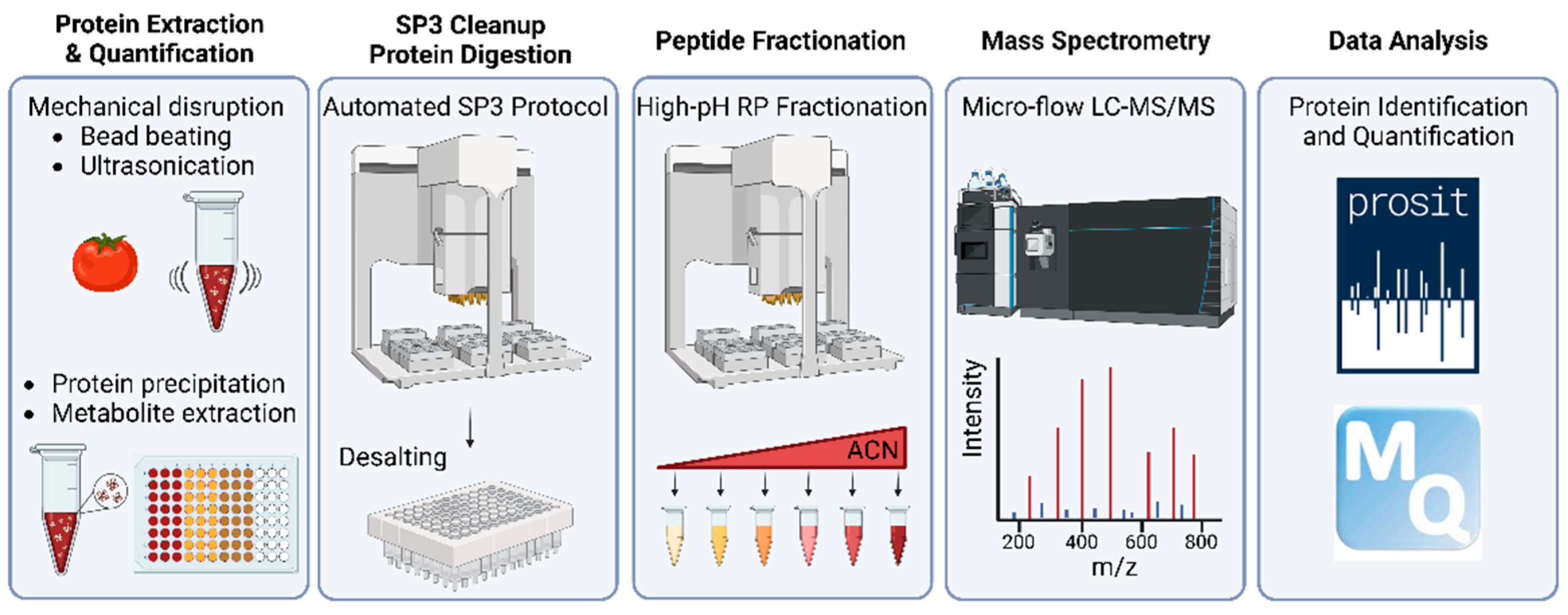 Large-Scale Protein Identification Service - Creative Proteomics