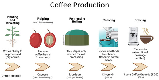 The Potential Of Spent Coffee Grounds In Functional Food Development The Potential Of Spent Coffee Grounds In Functional Food Development