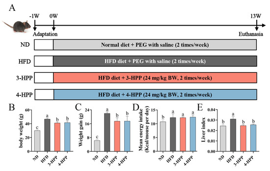 Reduced Blood to Brain Glucose Transport as The Cause For Hyperglycemia: a  Model That Resolves Multiple Anomalies in Type 2 Diabetes - Article (v1) by  Akanksha Ojha et al.