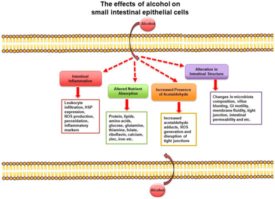 nutrients-free-full-text-the-influence-of-alcohol-consumption-on